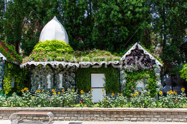 Distinctive agricultural engineering designs, a three-dimensional model covered with green herbs in the Miracle Garden in Dubai, famous recreational tourist attractions, interest in growing flowers and roses in gardens, a destination for tourists from different countries, enjoying the natural landscapes in the United Arab Emirates