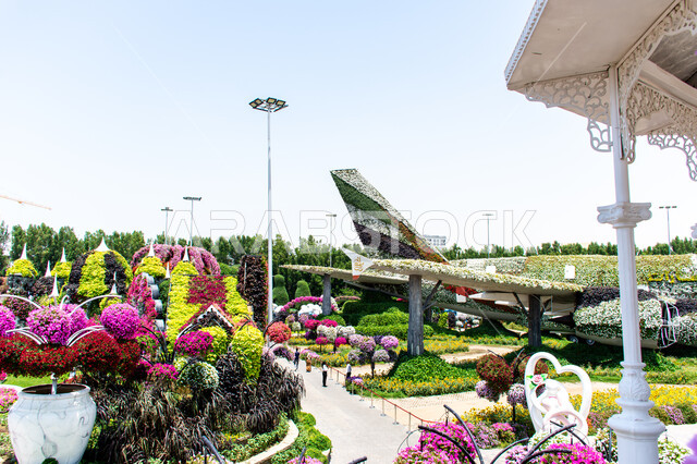 مجسم عملاق ثري دي لطائرة مغطاة بالورود في الحديقة المعجزة في دبي، مقصد السياح من مختلف البلدان ,الاهتمام في زراعة الازهار في الحدائق, التصاميم الهندسية الزراعية المميزة, معالم سياحية ترفيهية مشهورة, الاستمتاع بالمناظر الطبيعيه في الإمارات العربية المتحدة