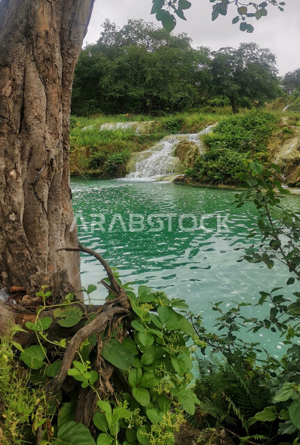شلال منتزه دربات في ولاية صلالة في سلطنة عمان، أماكن سياحية للتنزه، الاستمتاع بالمناظر الطبيعية بين الأشجار والنباتات الخضراء الكثيفة على الجبال، الشلالات المائية الطبيعية على السفوح والمنحدرات الجبلية
