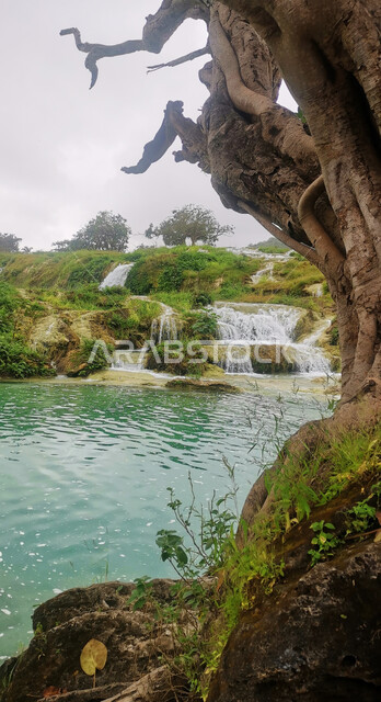 الشلالات المائية الطبيعية على السفوح والمنحدرات الجبلية، شلال منتزه دربات في ولاية صلالة في سلطنة عمان، أماكن سياحية للتنزه، الاستمتاع بالمناظر الطبيعية بين الأشجار والنباتات الخضراء الكثيفة على الجبال