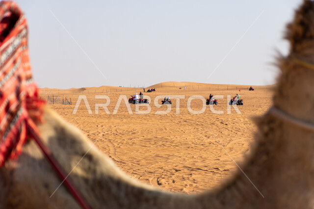 الأنشطه الترفيهيه من خلال سباقات الدراجات النارية, رياضة التطعيس على الرمال الناعمه، رياضات ونشاطات جذب السياح في صحراء مدينة دبي بالامارات العربية المتحدة