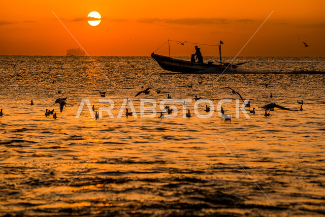 الاستمتاع بالمناظر الطبيعية في وقت غروب الشمس، أسراب من الطيور المهاجرة فوق شاطئ الخبر، المناطق الساحلية في المملكة العربية السعودية، أماكن سياحية ترفيهية، إبحار قوارب الصيد الصغيرة في وسط البحر