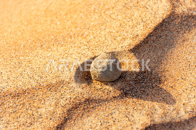 Recreational safari areas and sand activities, desert areas in Dubai, a ...