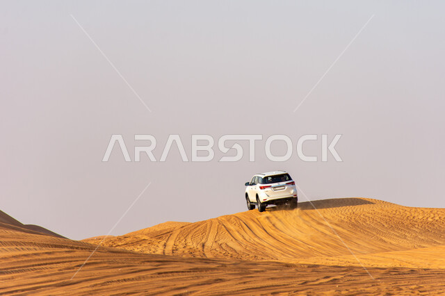 أنشطة صحراوية ممتعة, مغامرة شيقة على الرمال الذهبية الناعمة في صحاري الامارات العربية المتحدة، الاستمتاع بممارسة الهوايات المفضلة, مغامرات سفاري على الكثبان الرملية، سيارة تويوتا لاند كروزر وسط صحراء دبي