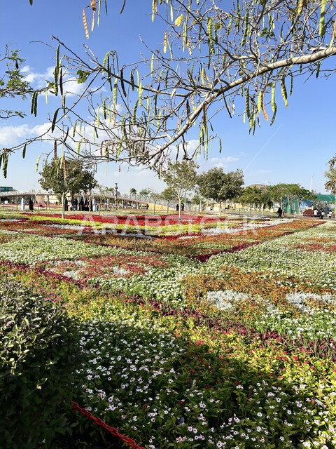حدائق ترفيهية سياحية، واجهة حضارية وتحفة معمارية، سجادة الأزهار والورود الملونة، أماكن ومناطق عائلية للتنزه والترفيه، منتزه الردف في مدينة الطائف، حديقة عامة في المملكة العربية السعودية، المروج والأشجار والنباتات الخضراء