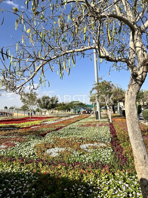 واجهة حضارية وتحفة معمارية، حدائق ترفيهية سياحية، سجادة الأزهار والورود الملونة، أماكن ومناطق عائلية للتنزه والترفيه، منتزه الردف في مدينة الطائف، حديقة عامة في المملكة العربية السعودية، المروج والأشجار والنباتات الخضراء