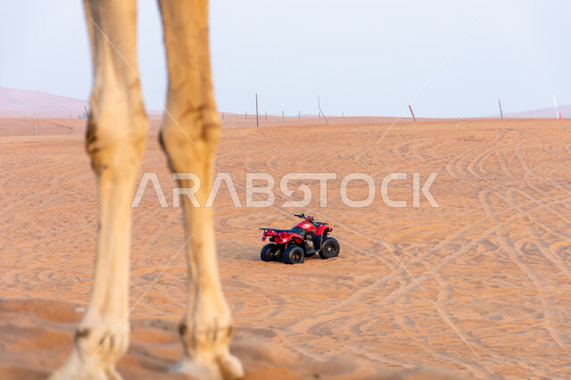 قيادة دراجات الدفع الرباعي في صحراء دبي، الرمال الذهبية الناعمة، مغامرات سفاري على الكثبان الرملية، أنشطة شبابية ممتعة في البيئة الصحراوية في الامارات العربيه المتحدة، خلفية الطبيعه