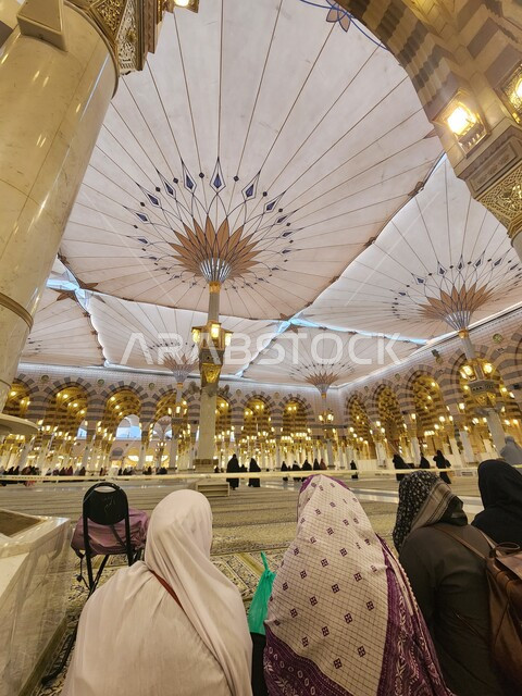 Worshipers in the honorable Rawdah in the Prophet’s Mosque, the Mosque of the Messenger of God, performing prayer in the Prophet’s Mosque in Medina, worship and getting closer to God, the Noble Madani Mosque in the Kingdom of Saudi Arabia, holy Islamic places