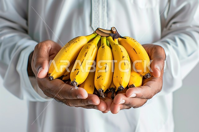 انتقاء أجود أنواع الفواكه الطازجة، بورتريه مقرب لأيدي شاب عربي خليجي سعودي يرتدي الثوب التقليدي يحمل بيده حبات الموز، المحاصيل الزراعية السعودية ذات الجودة العالية، وجبة طعام صحية خفيفة، تلبية الحاجات الضرورية للجسم، خلفية بيضاء