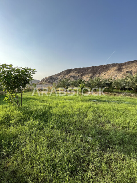 منظر السماء الزرقاء في وقت النهار، منتجات محاصيل زراعية في مزارع المملكة العربية السعودية، الحقول الخصبة في منطقة عسفان، التضاريس والمرتفعات الجبلية في جدة