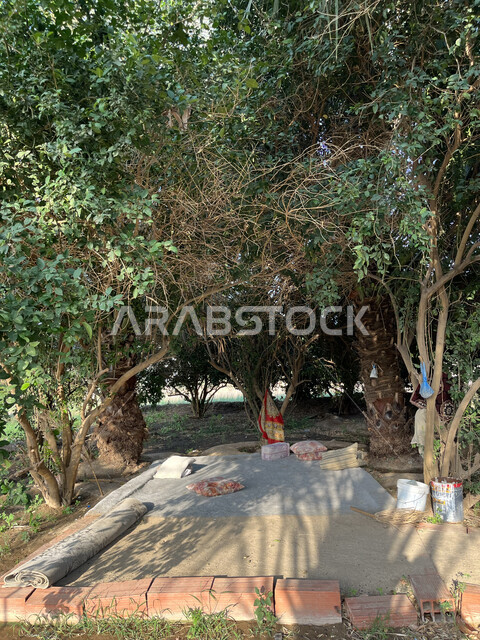 الاهتمام بزراعة الأشجار المثمرة، الحقول الخصبة في منطقة عسفان، الرحلات الترفيهية إلى الطبيعة، مجلس شعبي على الأرض في إحدى المزارع في جدة، منتجات محاصيل زراعية في المملكة العربية السعوديةة