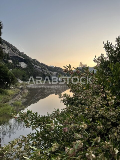 المناظر الطبيعية في محافظة تنومة في النهار، جبال السروات في منطقة عسير جنوب غرب المملكة العربية السعودية، الاشجار والنباتات الخضراء على التكوينات والتشكيلات الصخرية