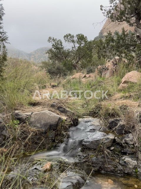 الأجواء الضبابية الغائمة، صورة مقربة لمياه الينابيع الجارية في إحدى وديان الطائف، التشكيلات والتكوينات الطبيعية للصخور والحجارة في وادي الشفا، معالم وأماكن سياحية في المملكة العربية السعودية