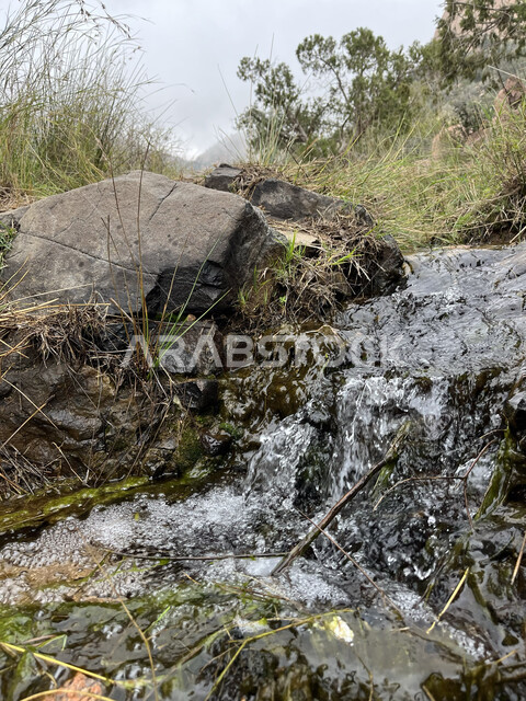 الأجواء الضبابية الغائمة، صورة مقربة لمياه الينابيع الجارية في إحدى وديان الطائف، التشكيلات والتكوينات الطبيعية للصخور والحجارة في وادي الشفا، معالم وأماكن سياحية في المملكة العربية السعودية