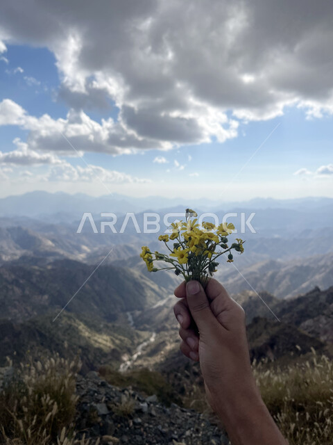 رحلات السفاري والتنزه في الطبيعة، التضاريس والمرتفعات الجبلية في الطائف، منظر الغيوم في سماء قرية الشفا، التكوينات والتشكيلات الطبيعية للصخور في الجبال، أماكن ومعالم سياحية في المملكة العربية السعودية، صورة مقربة ليد شاب يمسك بمجموعة من الأزهار فوق قمة جبل