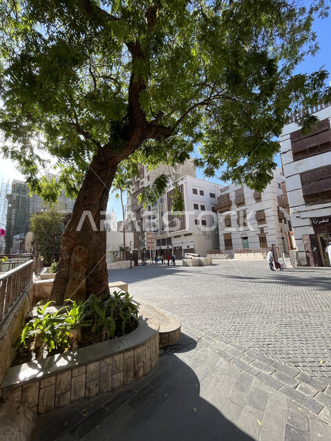 القرية التاريخية في مدينة جدة، الفن الهندسي المعماري على الطراز العربي الإسلامي، النوافذ الخشبية والأبنية القديمة في وقت النهار، أماكن سياحية جذابة في المملكة، الاهتمام بزراعة الأشجار الخضراء في السعودية
