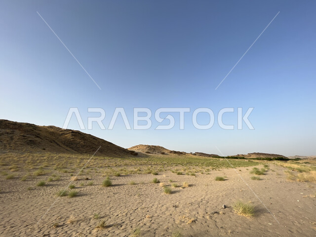 النمو الطبيعي للأعشاب البرية في البراري، القمم والمرتفعات الجبلية, المناطق الصحراوية في المملكة العربية السعودية، التضاريس الطبيعية والهضاب في صحراء جدة