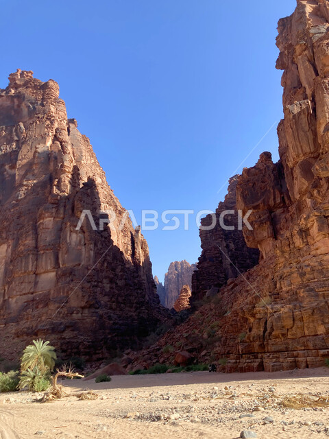 التكوينات والتشكيلات الصخرية على الوديان الجبلية في الأماكن الأثرية التاريخية المشهورة، وادي الديسة في منطقة تبوك، أرض النخيل والعيون الساحرة، سلاسل جبلية ومعالم طبيعية في السعودية، المناطق السياحية في المملكة