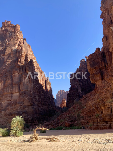 التكوينات والتشكيلات الصخرية على الوديان الجبلية في الأماكن الأثرية التاريخية المشهورة، وادي الديسة في منطقة تبوك، أرض النخيل والعيون الساحرة، سلاسل جبلية ومعالم طبيعية في السعودية، المناطق السياحية في المملكة