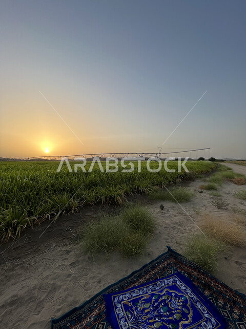 الحقول والأراضي الزراعية الخصبة، أماكن طبيعية للاسترخاء والـتأمل، المزارع الخضراء في جدة، منظر السماء في وقت الغروب، التضاريس والمرتفعات الجبلية في المملكة العربية السعودية