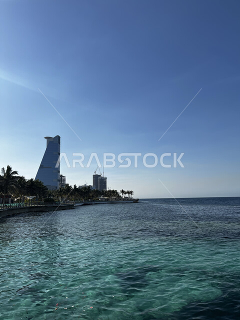 Interest in planting green palm trees on the Jeddah Corniche, recreational tourist places and landmarks in the Kingdom of Saudi Arabia, the calm marine nature of the Red Sea coast