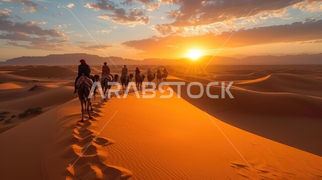 المناظر الطبيعية والرمال الذهبية الناعمة، التنقل في صحارى المملكة العربية السعودية باستخدام حيوان الجمل وقت غروب الشمس، قافلة من الإبل تسير فوق الكثبان الرملية في الصحراء، أماكن سياحية صحراوية, خلفية الطبيعه