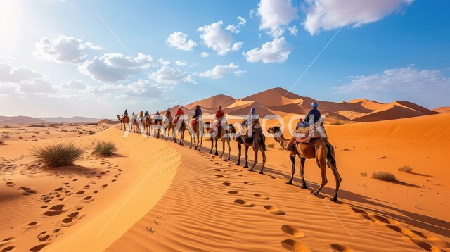 قافلة من الإبل تسير فوق الكثبان الرملية في الصحراء، المناظر الطبيعية والرمال الذهبية الناعمة، التنقل في صحارى المملكة العربية السعودية باستخدام حيوان الجمل وقت النهار، أماكن سياحية صحراوية, خلفية الطبيعه