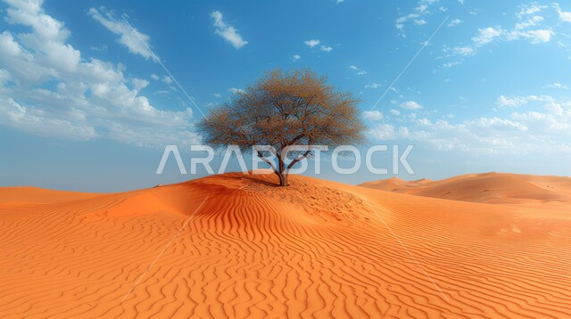 A tree in the dry Gulf natural environment, the vast desert areas extending along the horizon, the formation of dunes and sand peaks in the deserts, a scene of the intermingling of the colors of the bright golden desert sand with the background of the cloudy blue sky.