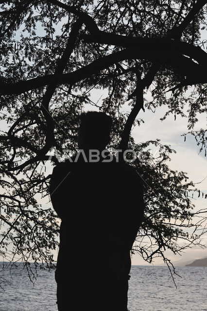  قضاء وقت ممتع بتأمل مناظر الطبيعة الهادئة، صورة ظلية من الخلف لشاب عربي خليجي سعودي يقف على الشاطئ الرملي، الاستمتاع بالنظر الى ساحل البحر، الواجهة البحرية والمناطق الطبيعية في المملكة العربية السعودية، النزهات والرحلات في فصل الصيف، سالوييت