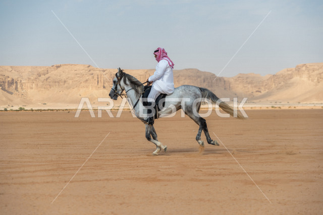 فارس سعودي خليجي يمتطي الخيل بسرعة عالية في الصحراء السعودية  الخلابة ، ترويض الخيل ، مدرب الخيول، الخيل العربي الأصيل، هواية ركوب الخيل ، الفروسية ،  مهارات و انشطة ترفيهية ، جمال الصحراء في المملكة العربية السعودية
