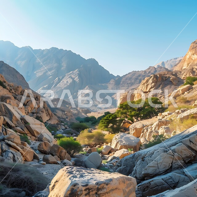 الأشجار والنباتات على اعالي الجبال في السعودية، سلاسل الجبال الشاهقة في منطقة عسير جنوب غرب المملكة العربية السعودية ، سلسلة جبال الطبيعية، الطبيعة الخضراء في القمم والمرتفعات الجبلية