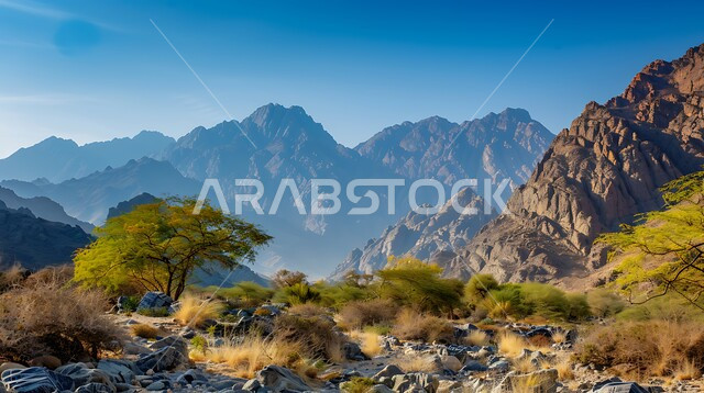 الأشجار والنباتات على اعالي الجبال في السعودية، سلاسل الجبال الشاهقة في منطقة عسير جنوب غرب المملكة العربية السعودية ، سلسلة جبال الطبيعية، الطبيعة الخضراء في القمم والمرتفعات الجبلية