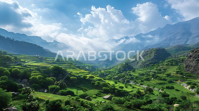 ملامسة السحب البيضاء للقمم والمرتفعات الجبلية، جبال الباحة في المملكة العربية السعودية في وقت النهار، المناطق والمعالم السياحية المشهورة، الاستمتاع بالمناظر الطبيعية للمدرجات الزراعية الخضراء، خلفية الطبيعة