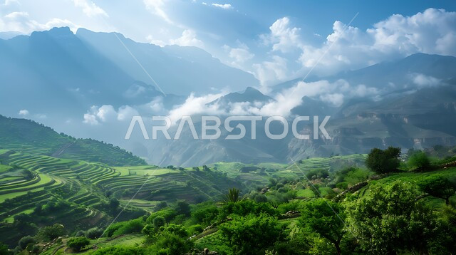 ملامسة السحب البيضاء للقمم والمرتفعات الجبلية، جبال الباحة في المملكة العربية السعودية في وقت النهار، المناطق والمعالم السياحية المشهورة، الاستمتاع بالمناظر الطبيعية للمدرجات الزراعية الخضراء، خلفية الطبيعة