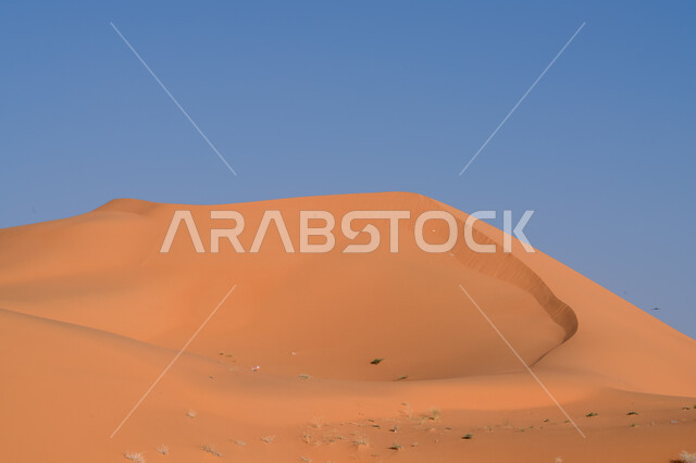 The Arabian desert extending over wide areas, the terrain and dry environment of the Gulf deserts, the formed hills and sand dunes, the desert nature in the Kingdom of Saudi Arabia, the shiny golden sand during the day, the background of the clear blue sky
