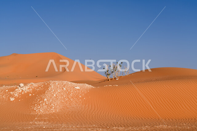   التضاريس والبيئة الجافة للصحاري الخليجية, التلال والكثبان الرملية المتشكلة, الطبيعة الصحراوية في المملكة العربية السعودية, امتداد الصحراء العربية لمساحات واسعة, الرمال الذهبية اللامعة في النهار, خلفية السماء الزرقاء الصافية