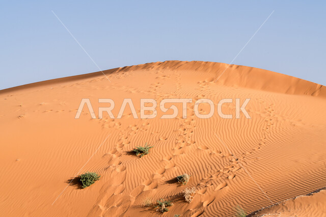  منظر السماء الزرقاء الصافية, الرمال الذهبية اللامعة في النهار, امتداد الصحراء العربية لمساحات واسعة, تشكل التلال والكثبان الرملية, البيئة والتضاريس الجافة للصحاري الخليجية, الطبيعة الصحراوية في المملكة العربية السعودية