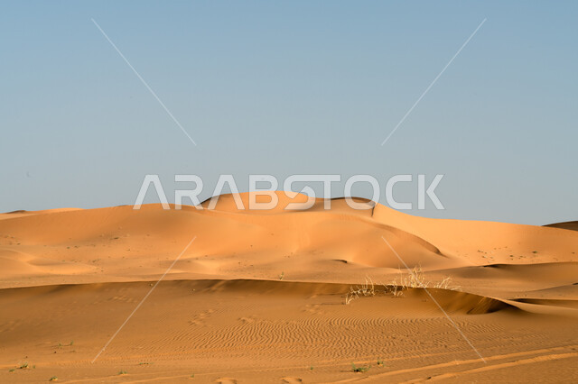  الرمال الذهبية اللامعة في النهار, امتداد الصحراء العربية لمساحات واسعة, تشكل التلال والكثبان الرملية, البيئة والتضاريس الجافة للصحاري الخليجية, الطبيعة الصحراوية في المملكة العربية السعودية, خلفية السماء الزرقاء الصافية