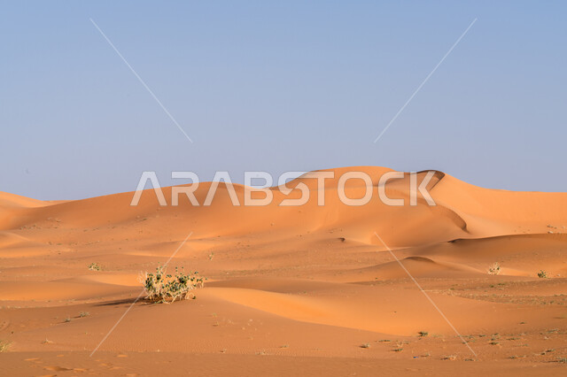  امتداد الصحراء العربية لمساحات واسعة, تشكل التلال والكثبان الرملية, البيئة والتضاريس الجافة للصحاري الخليجية, الطبيعة الصحراوية في المملكة العربية السعودية, الرمال الذهبية اللامعة في النهار, خلفية السماء الزرقاء الصافية