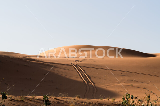 تشكل التلال والكثبان الرملية, البيئة والتضاريس الجافة للصحاري الخليجية, الطبيعة الصحراوية في المملكة العربية السعودية, امتداد الصحراء العربية لمساحات واسعة, الرمال الذهبية اللامعة في النهار, خلفية السماء الزرقاء الصافية