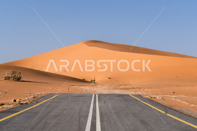 خطا المرور الأبيضان لزيادة الأمان, طريق اسفلتي ممتد على طول الصحراء, النمو والتطور العمراني في صحاري المملكة, البيئة الصحراوية الجافة في السعودية, شارع معبد للسيارات وتسريع حركة المسافرين, تسهيل التنقلات بين المناطق البرية والمدن