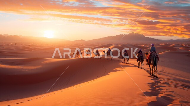 تربيه ورعايه المواشي ,وسائل النقل والمواصلات القديمة، مجموعة من الرجال على الجمال في الصحراء العربيه وقت غروب الشمس في المملكة العربية السعودية، مفهوم السفر على حيوان الابل، الرمال الذهبية الناعمه، خلفية الطبيعه
