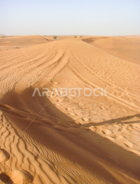 مناطق البادية والبيئة الصحراوية الطبيعية في إمارة دبي، التكوينات والتشكيلات من الرمال في صحراء الامارات العربية المتحدة، الهضاب والتلال الرملية الذهبية الناعمة
