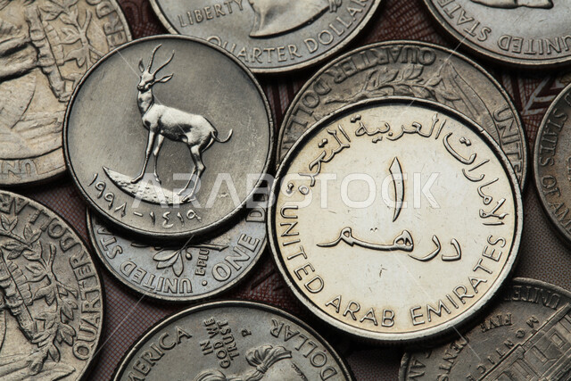 الفئات المختلفة من العملات النقدية، الاقتصاد المالي للخليج العربي، الدراهم الاماراتية المعدنية، النمو والأرباح المالية، العملة الرسمية للإمارات العربية المتحدة