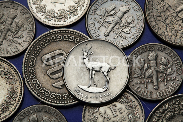 الدراهم الاماراتية المعدنية، النمو والأرباح المالية، العملة الرسمية للإمارات العربية المتحدة، الفئات المختلفة من العملات النقدية، الاقتصاد المالي للخليج العربي