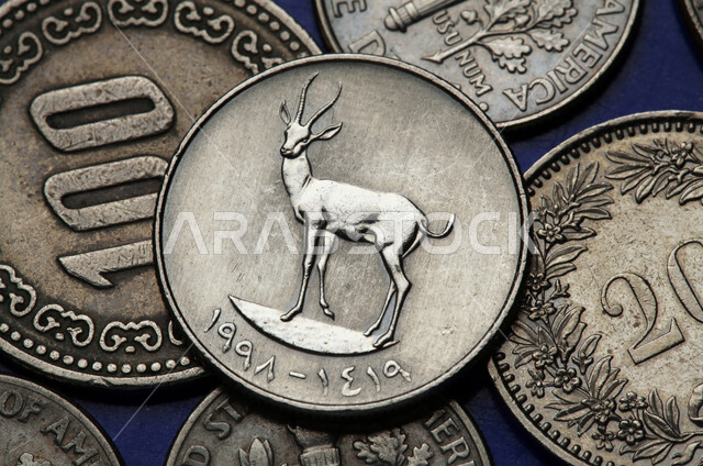 الدراهم الاماراتية المعدنية، النمو والأرباح المالية، العملة الرسمية للإمارات العربية المتحدة، الفئات المختلفة من العملات النقدية، الاقتصاد المالي للخليج العربي