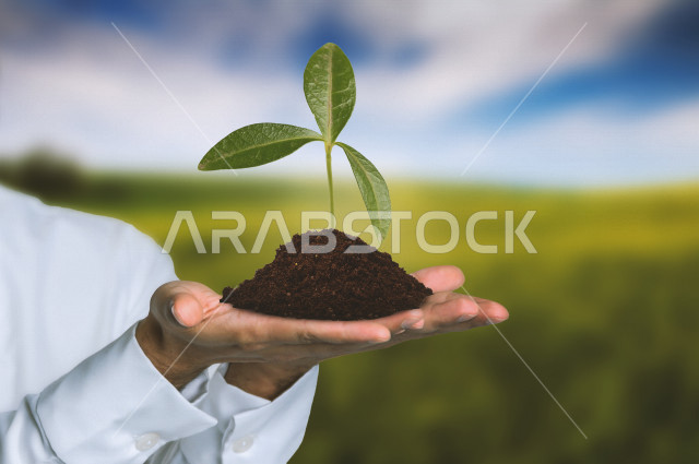 صورة مقربة ليد رجل خليجي سعودي عليها شتلة مزروعة  ،يوم الارض العالمي ، الحفاظ على البيئة والكوكب من أجل المستقبل ، زيادة الطبقة الخضراء على الارض ،نشر الوعي لتقليل التلوث البيئي ، السعودية الخضراء ، خلفية أرض مزروعة