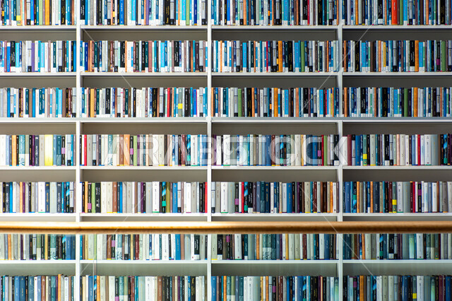 A beacon of culture and thought, the architectural art of libraries, museums and exhibitions in the United Arab Emirates, a place for readers and lovers of science and knowledge, the organized shelves of the books in the Mohammed bin Rashid Library, rich in magazines and dictionaries in the Emirate of Dubai, a distinguished knowledge edifice and a famous cultural landmark