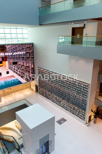 Gaining knowledge and developing linguistic stock, Interior designs and decorations in the Mohammed bin Rashid Library, rich in magazines and dictionaries in the Emirate of Dubai, scientific libraries in the United Arab Emirates, luxurious interior decorations and designs, a place for readers and lovers of science and knowledge, providing comfort for readers