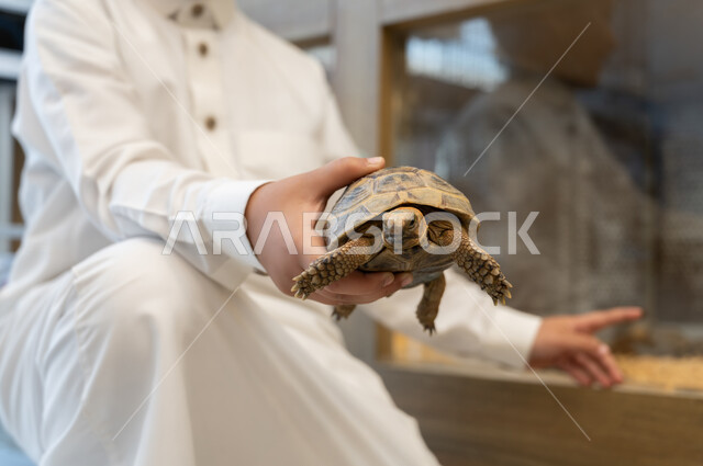 أماكن خاصة لحفظ الحيوانات، زيارة محلات ومتاجر بيع وشراء الحيوانات والطيورالأليفة، النظرالى السلحفاة اللطيفة بايماءات الفرح والسرور، صورة مقربة لولدعربي خليجي سعودي  يرتدي الزي التقليدي يقوم بحمل سلحفاة وقضاء اوقات ممتعة ومسلية